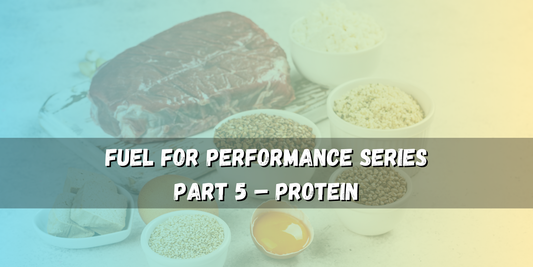 Protein - Build Muscle & Repair Tissue